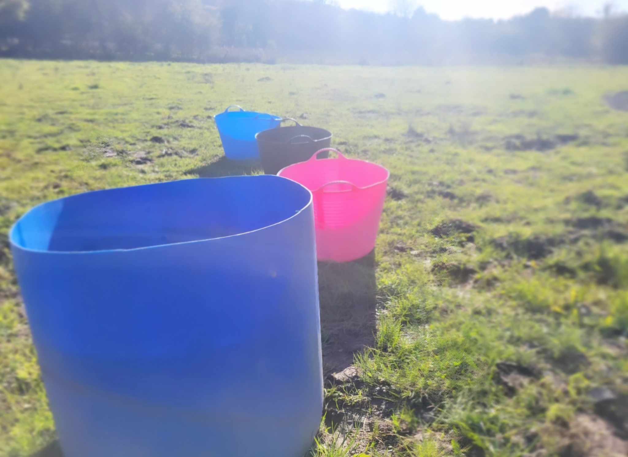 Why Our Wonderful Water Buffets Will Transform Your Horses Life