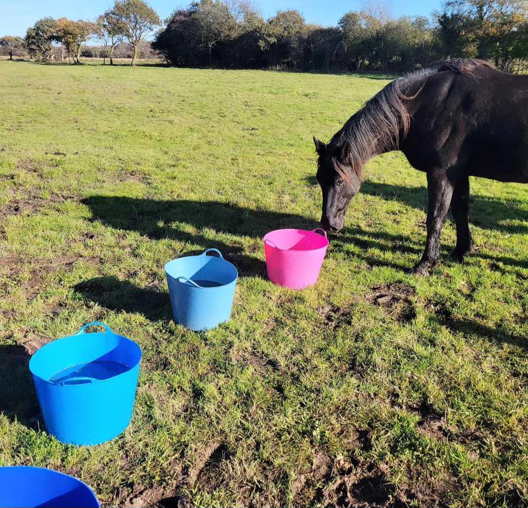 Have A Wonderful Winter With Our Water Buffet Packs