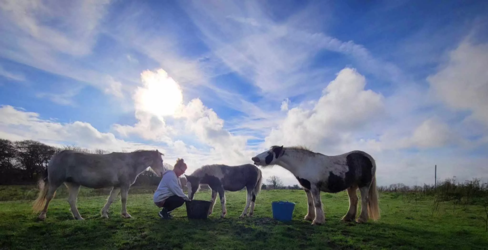 Water Buffet Leads To Super Social Skills Surprising Owners