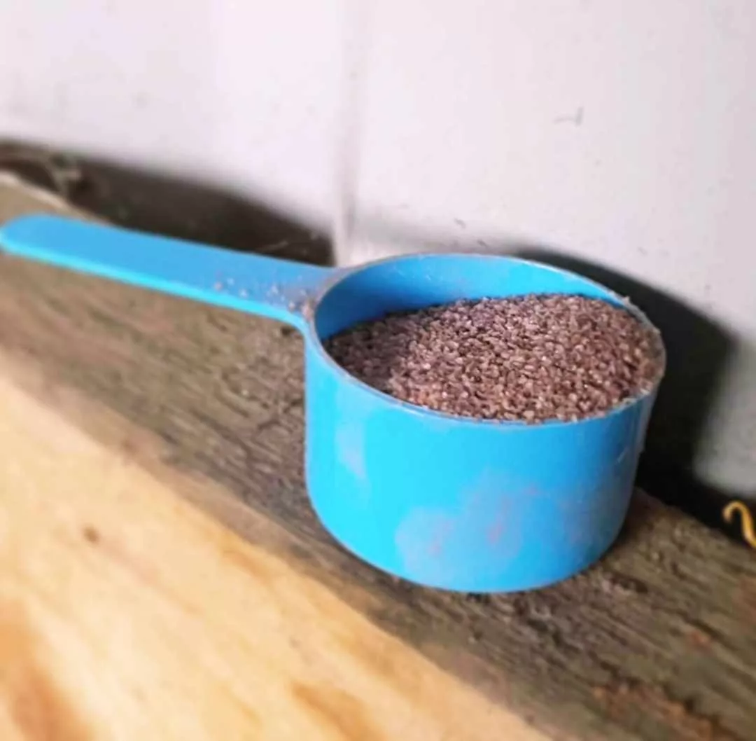 Black Salt The Ultimate Best Friend For Horse Owners